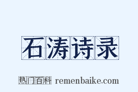石涛诗录是什么意思的图片